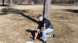 SAM_1447